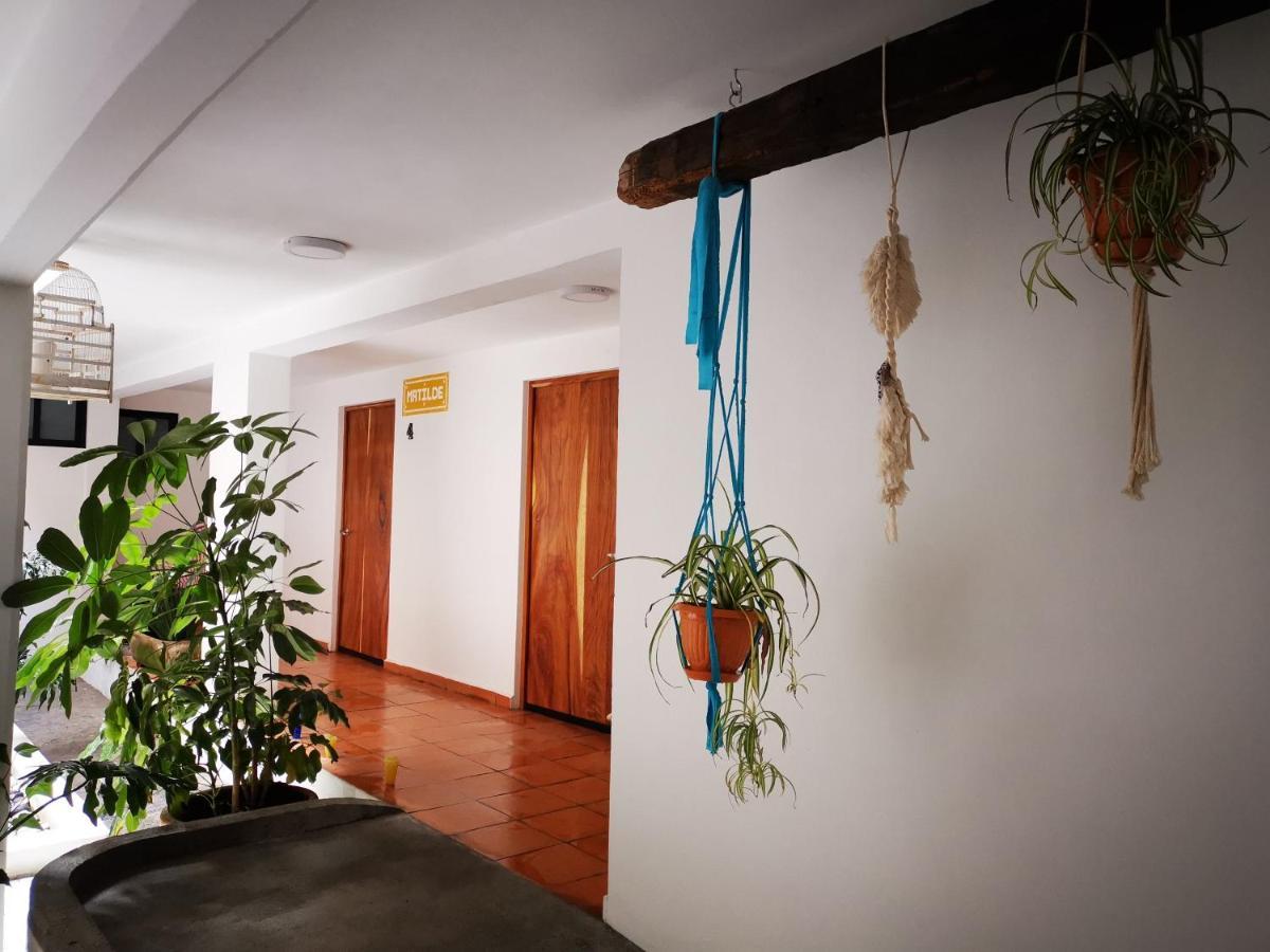 Santa Josefita B&B チョルーラ エクステリア 写真